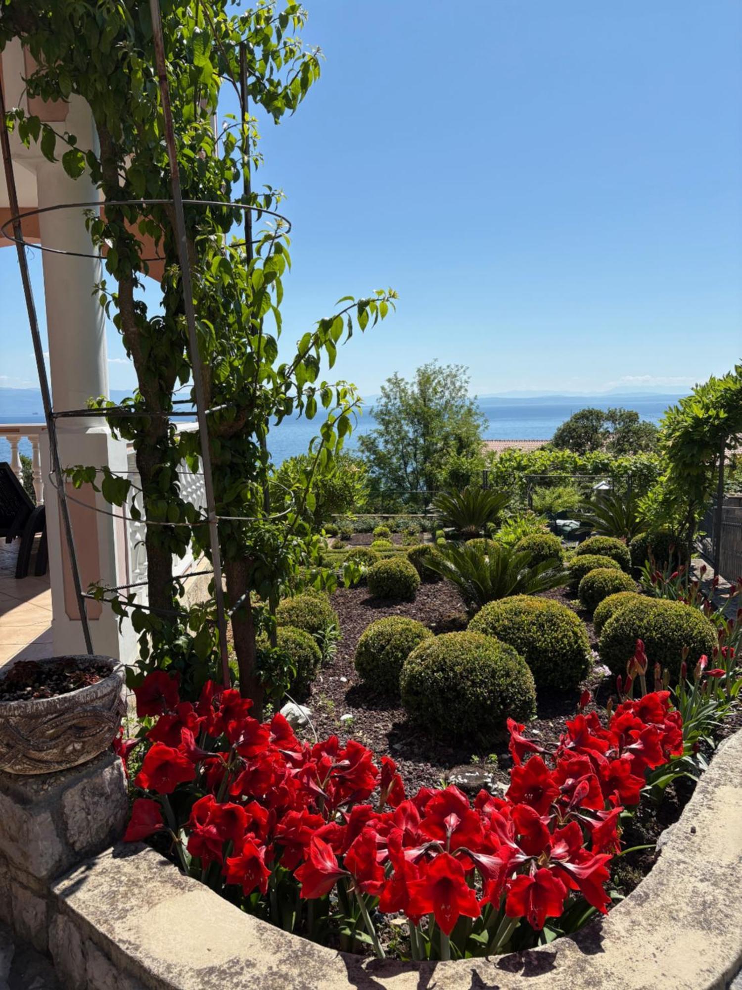 Bed And Breakfast Villa Iris มอชเชนิชกา ดรากา ภายนอก รูปภาพ
